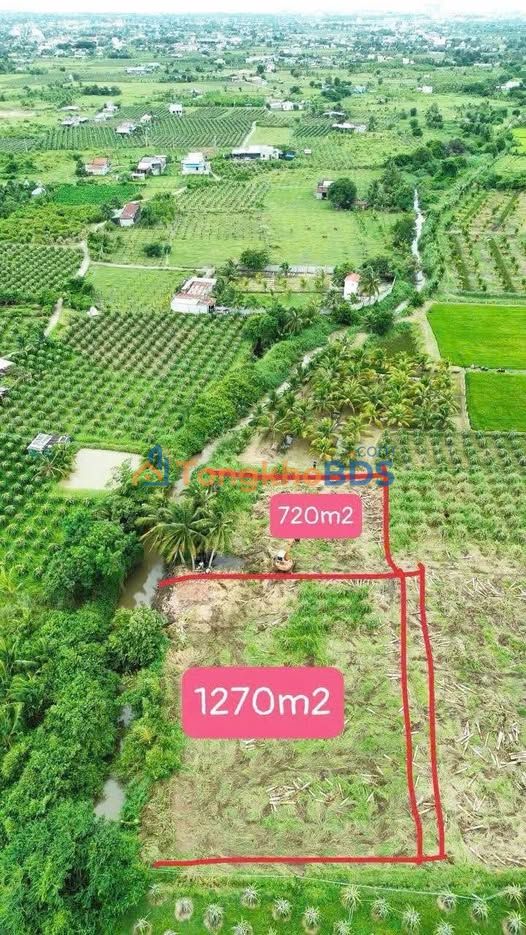 Bán đất Cây Lâu Năm view suối Hàm Thuận Bắc, Bình Thuận - 720m² giá chỉ 4xx triệu