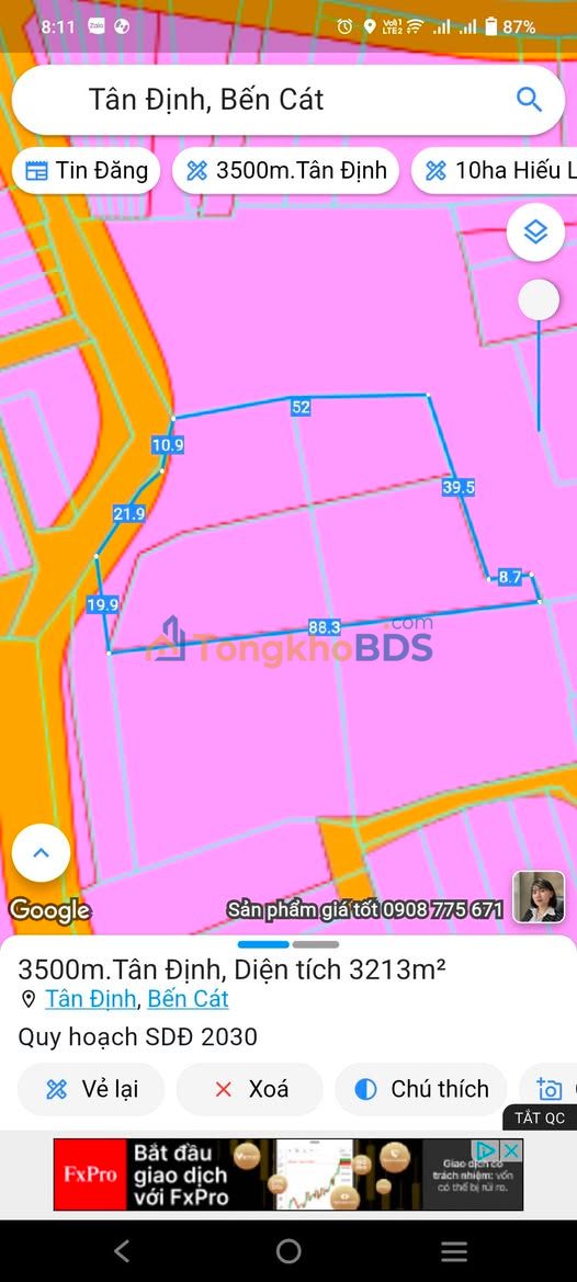 Bán Gấp Nhà Phường Tân Định, Bến Cát - 300m², 2 Căn Nhà, Mặt Tiền Bê Tông 30m