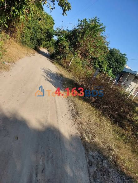 Đất vườn Cam An Nam 6.123m² 6.973 tỷ - Sinh thái xanh