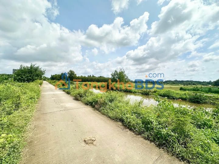 Đất nền mặt tiền kênh Hoà Thuận, Trà Vinh - 1800m² - Sổ hồng sẵn sàng