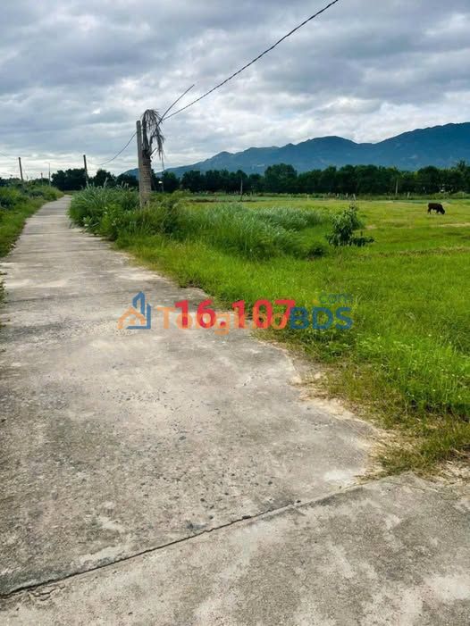 Đất Cam Lâm 2679m² mặt đường bê tông - Sổ hồng rõ ràng