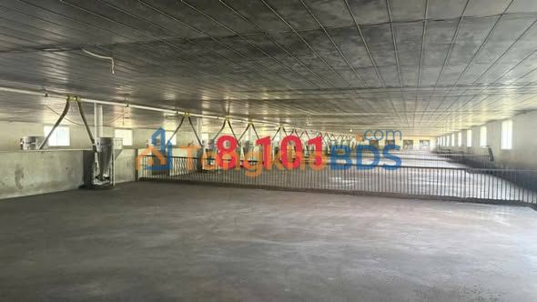 Đất nền Cam An Nam Cam Lâm 6240m² - 3.2 Tỷ - Sẵn Sẵn Trại Heo, GPXD