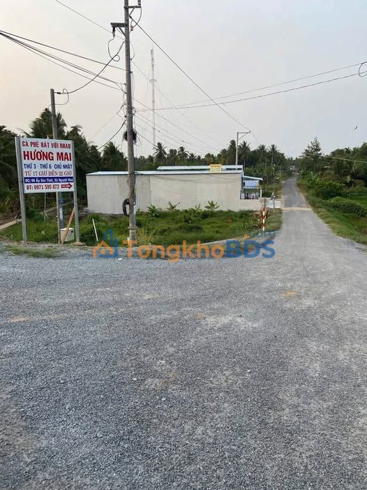 Bán Gấp 6500m² Đất Vườn Cây Trái Mặt Tiền Nhựa, Huyện Cầu Kè - Giá Tốt