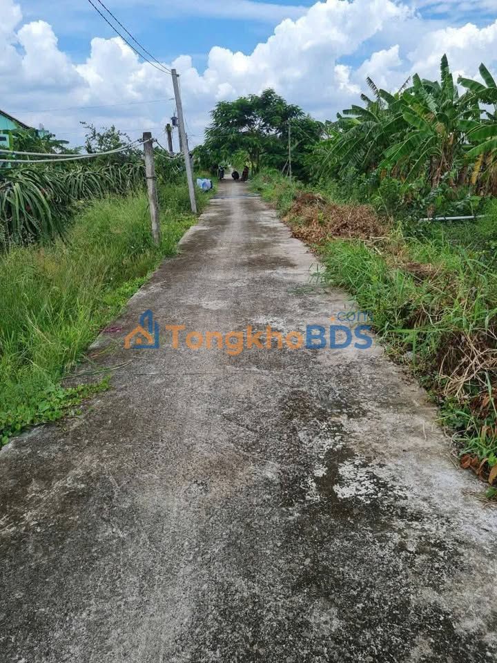 Đất Vườn Tiền Giang 557m² - Sổ Hồng Sẵn Sàng - Giá Đầu Tư 650 Triệu