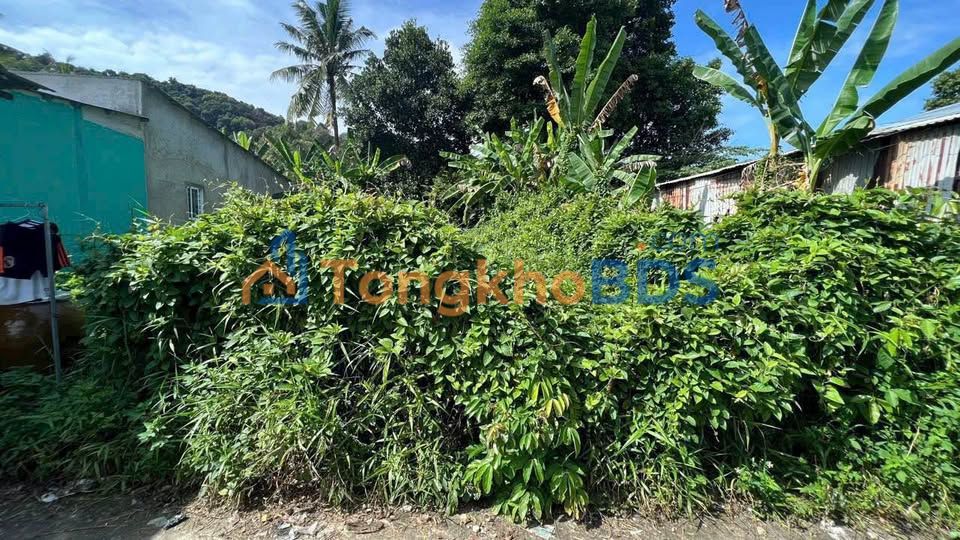 Bán Đất Nền 85m² Cạnh Cư Xá Bình An, An Giang - Giá 250 Triệu