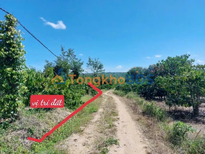 Đất nền Phú Xuân Krông Năng 302m² 299tr - Tiềm năng tăng giá