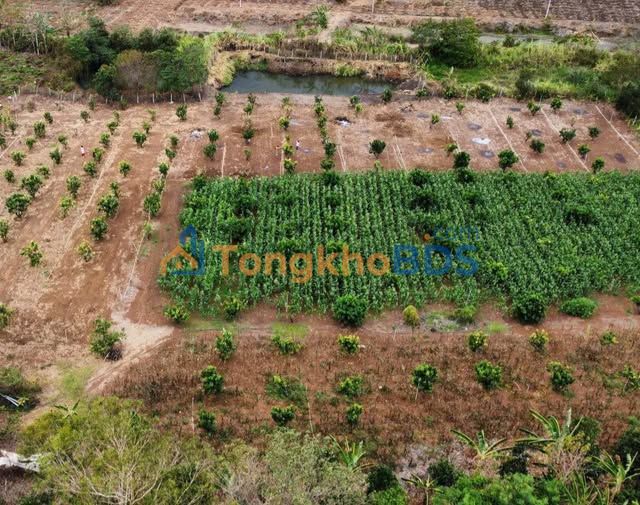 Đất nền Hòa Phú 1.3 tỷ 4 sào có ao - Tiềm năng tăng giá