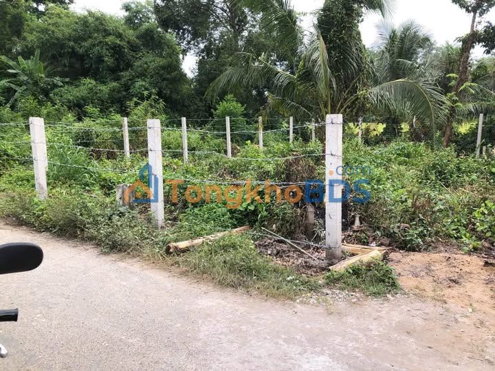 Đất Duyên Hải Trà Vinh 114m² Full Thổ Cư - Giá Chỉ 360 Triệu