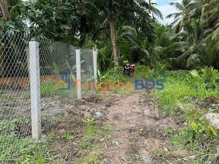 Đất Vườn Nghỉ Dưỡng 1267m² Xã Nguyệt Hóa, Châu Thành - Sổ Đỏ Sẵn Sàng