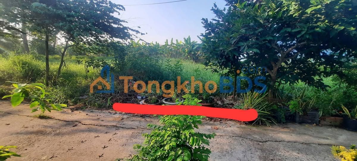 Bán Đất Hẻm 268, TP Tân An, Long An - 122m² Giá 750 Triệu