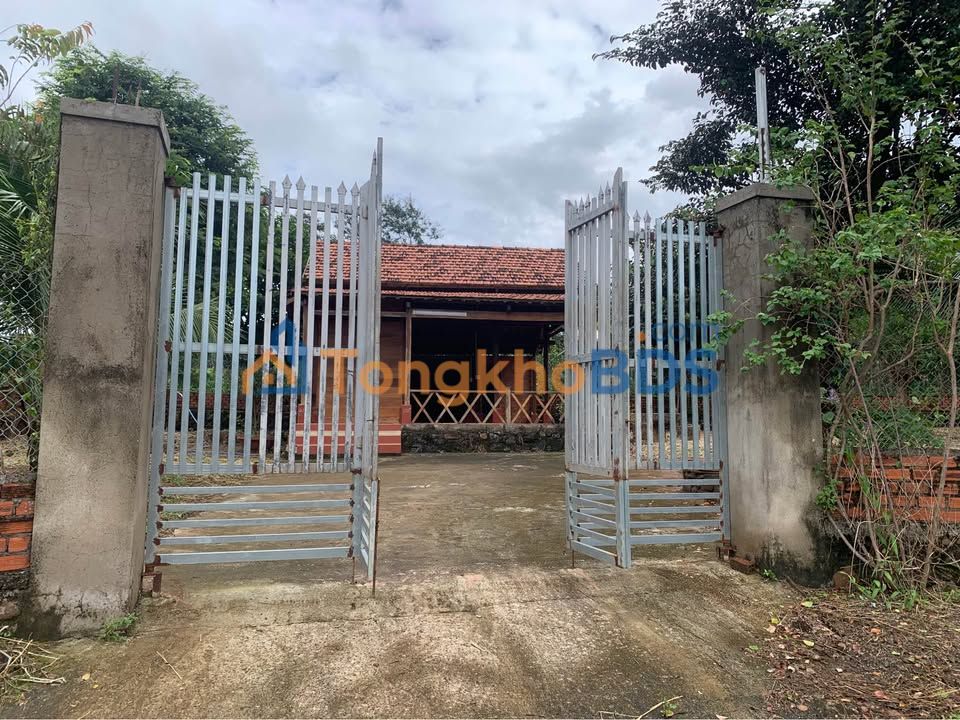 Bán Gấp Vườn 772m² Sổ Hồng Riêng - View Cao Thoáng Tại Buôn Ma Thuột