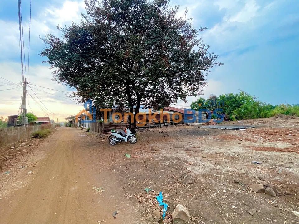 Đất Nền Buôn Đôn 510m² - Sổ Hồng Riêng - Giá 1.1 Tỷ