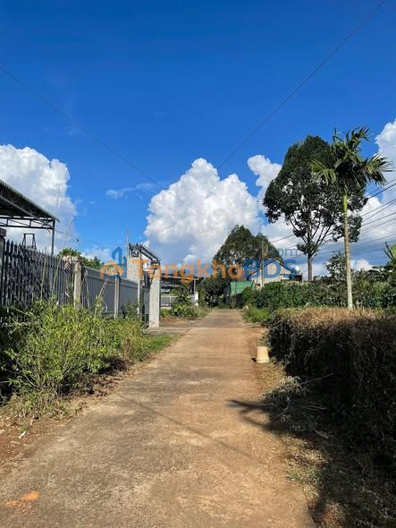 Đất nền Hòa Phú 490m² - Mặt tiền đường Làng Thái, giá 1.35 tỷ, đầu tư sinh lời