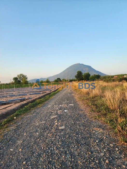 Bán đất nền Ninh Thạnh, Tây Ninh 330m² - Mặt tiền đường ô tô, giá 420 triệu