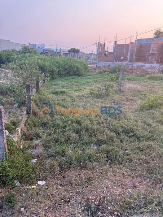 Bán Nhà 124m² Mặt Đường Nhựa Ngô Đức Tốn - Sẵn Sổ Hồng 1.1 Tỷ