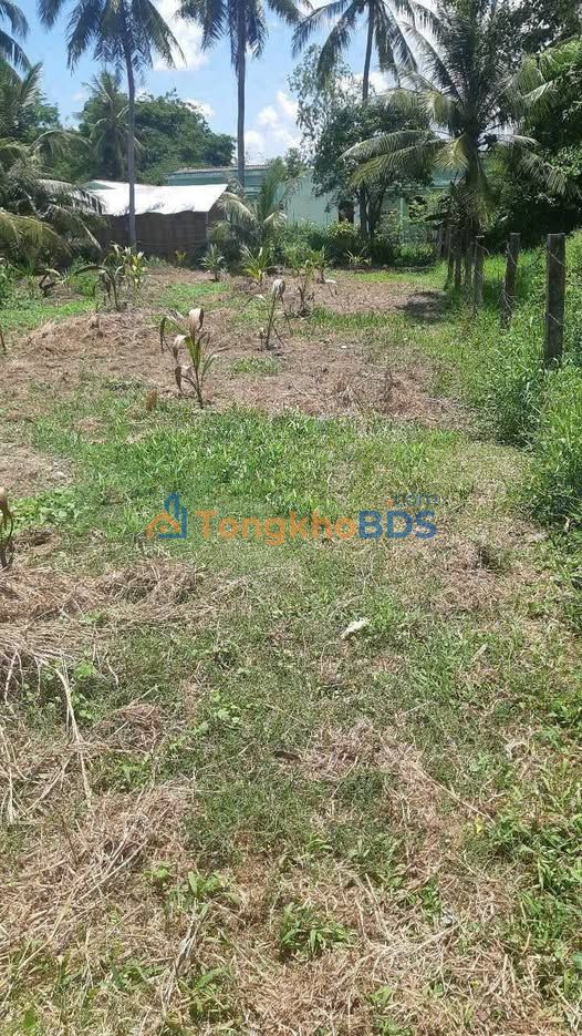 Bán Đất Trà Vinh 1471m² Mặt Tiền Tỉnh Lộ 912b Giá 1.85 Tỷ