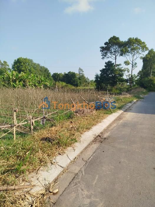 Đất nền Trà Vinh Khóm 8 1.749m² giá 5,2 tỷ - Giá tốt hiếm có