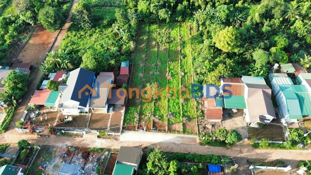 Đất Nền Buôn Ma Thuột 300m² - Sổ Sẵn, Giá Tốt, Hướng Nam