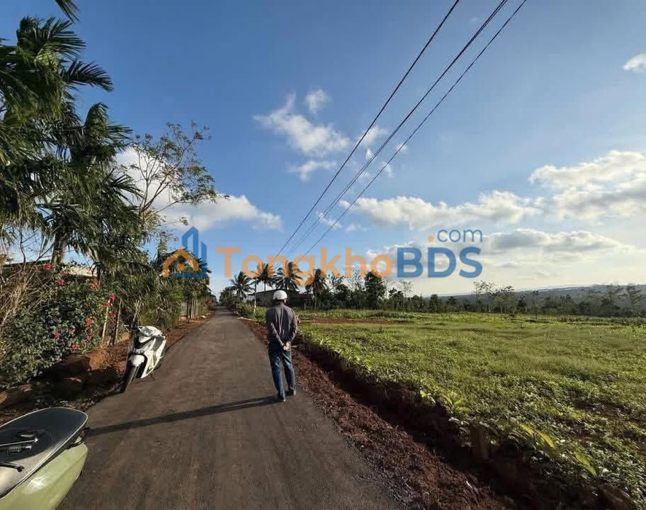 Đất Mặt Tiền Đường Nhựa Ea R'dơng - 320m² Thổ Cư Giá 720 Triệu