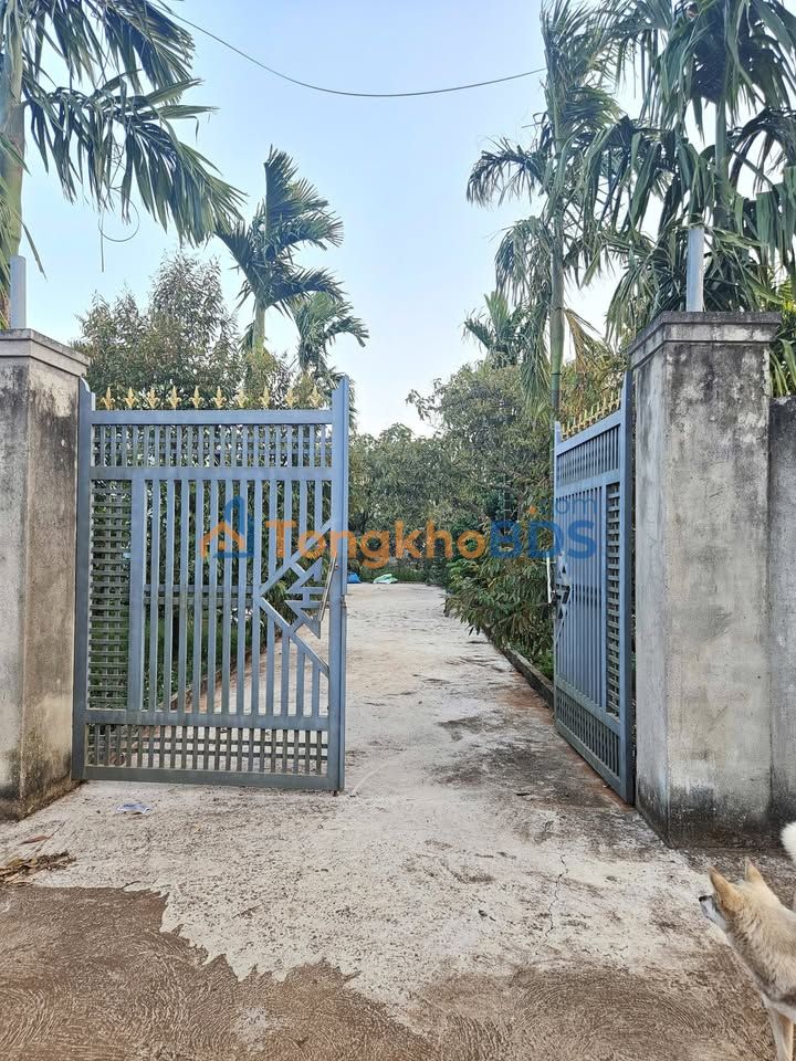 Bán Đất Y Jut, Buôn Ma Thuột 144m² - Sổ Đỏ Sẵn Sàng