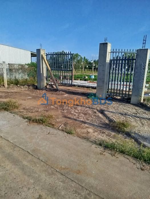 Bán đất vườn 3000m² mặt tiền đường xe 7 chỗ tại Trà Vinh - Giá 3.5 tỷ