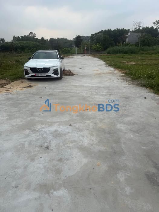 Đất nền Tân Yên, Bắc Giang 230m² - Sổ hồng sẵn, giá chỉ 5xx triệu