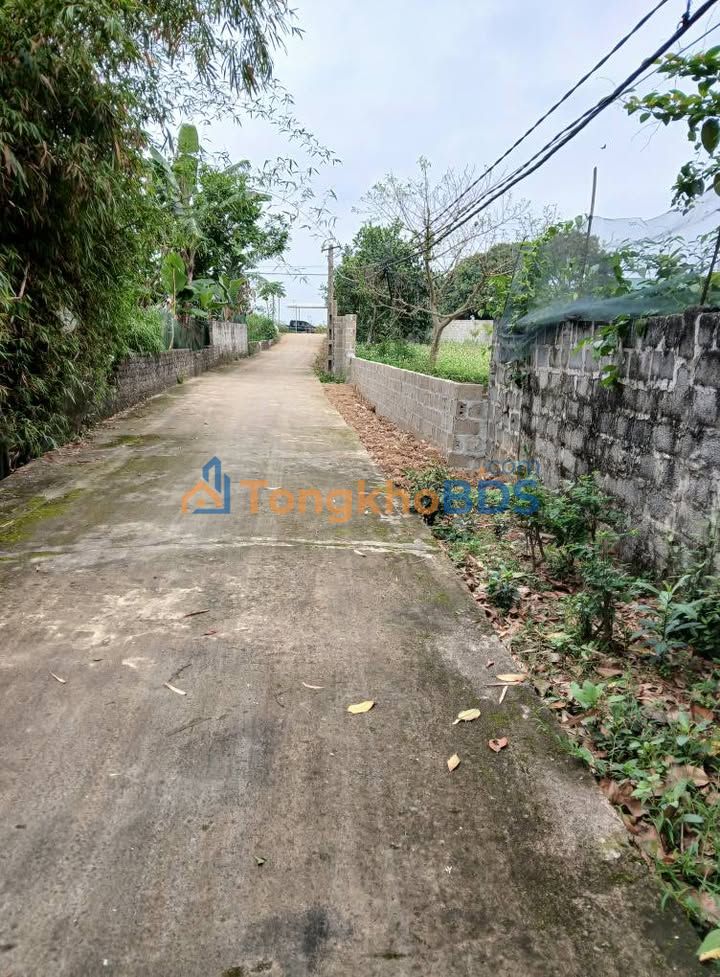 Đất Thổ Cư 138m² Xã Văn Phương, Nho Quan - Sổ Đỏ Sẵn Sàng