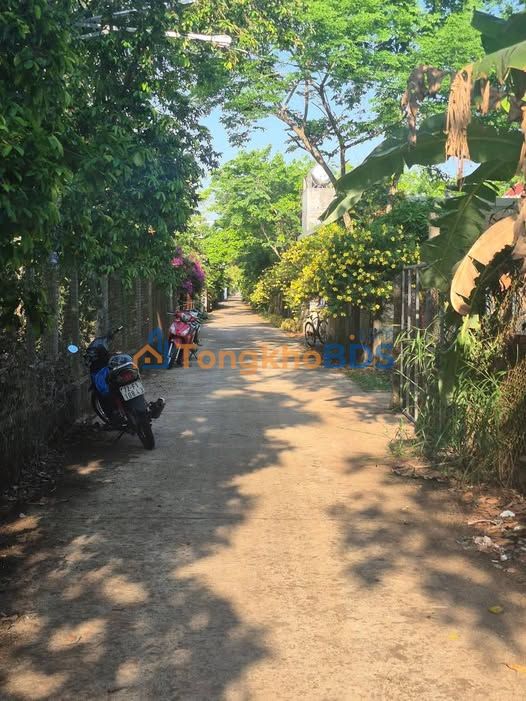 Bán đất nền 400m² Phường Long Bình, Biên Hòa - Sổ đỏ thổ cư, giá 1.25 tỷ