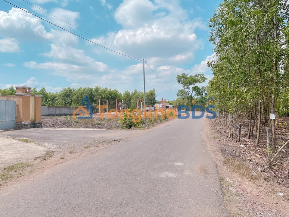 Đất Nền Trảng Bom 155m² Sổ Riêng Full Thổ Cư Giá 7xx Triệu