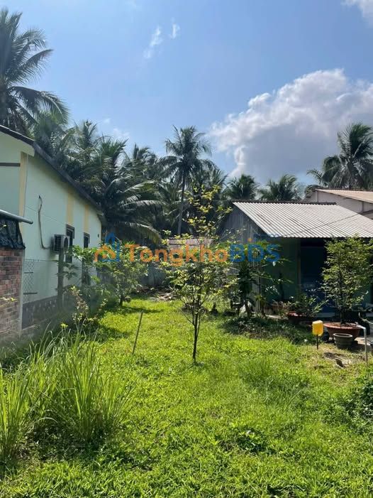 Đất Nền Châu Hòa, Bến Tre - 150m² Giá 370 Triệu, Sổ Riêng - Đầu Tư Sinh Lời