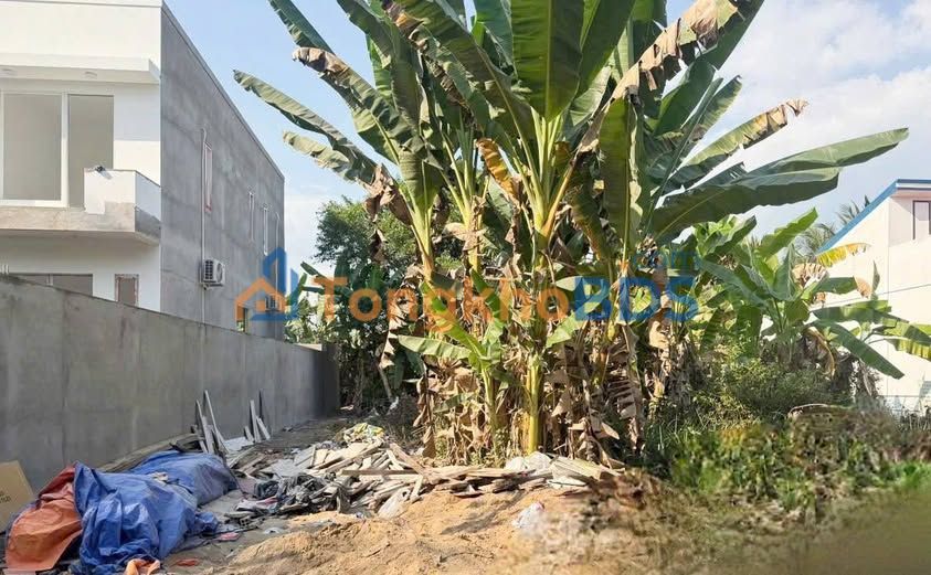 Đất Nền An Phước, Bến Tre - 162.5m² - Sổ Hồng Sẵn Sàng - 690 Triệu