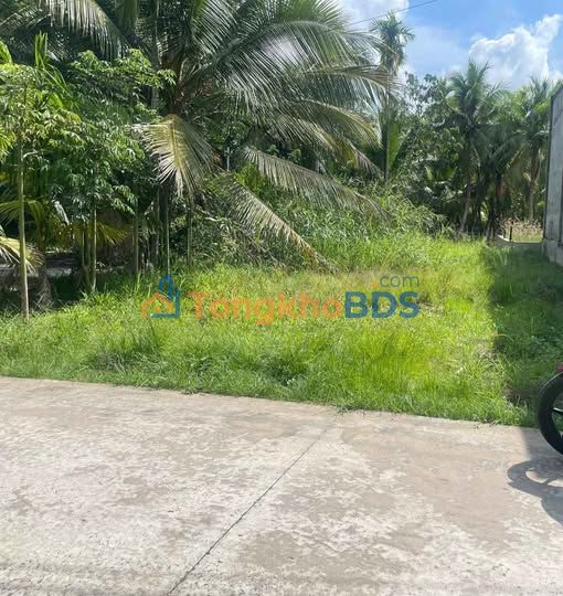 Đất Nền Biệt Thự Giồng Trôm, Bến Tre - 302m² - Sổ Đỏ Đất Ở