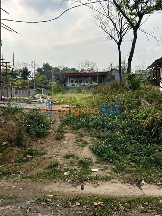 Đất Tam Quan Tam Đảo 100m² 2.5 tỷ - Tiềm năng tăng giá