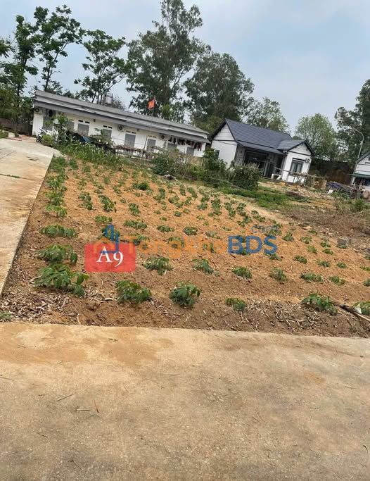 Đất nền Tam Hợp Bình Xuyên 90m² 1.2 tỷ - Sổ đỏ chính chủ