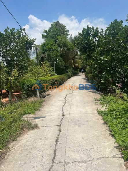 Bán Đất Vườn 480m² Mặt Sông Cái Bè - Giá 650 Triệu