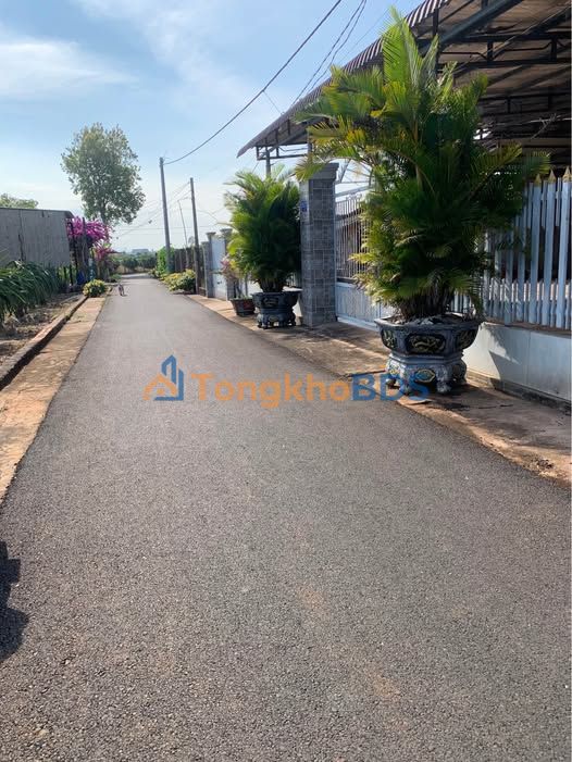 Đất Mặt Tiền Bông Trang, Tân Bình, 300m² Sổ Hồng Riêng - Giá 1.45 Tỷ