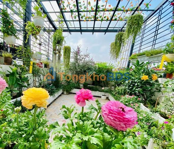 Nhà 41m² 5 tầng, 6 ngủ, ngõ thông Liễu Giai, Ba Đình - Giá tốt, sẵn ở