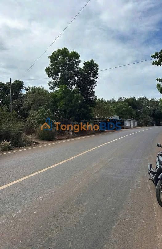 Đất Nền Đồng Xoài - 5500m² Thổ Cư, Giá 900 Triệu, Đường Nhựa