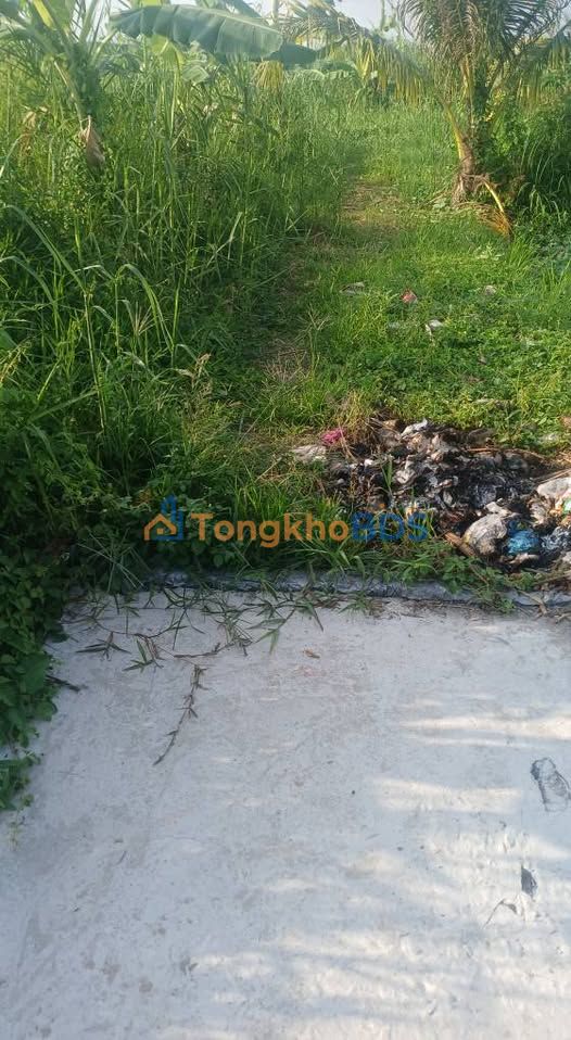 Bán Nền Thổ Cư 150m² Phường Long Tuyền, Cần Thơ - Giá Tốt 290 Triệu