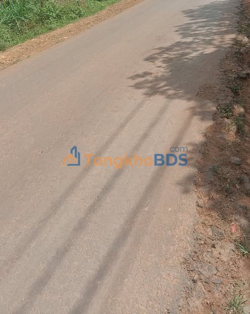 Nhà Mặt Tiền Trục Chính Etam, Krông Năng - 600m², Kinh Doanh Đắc Lợi