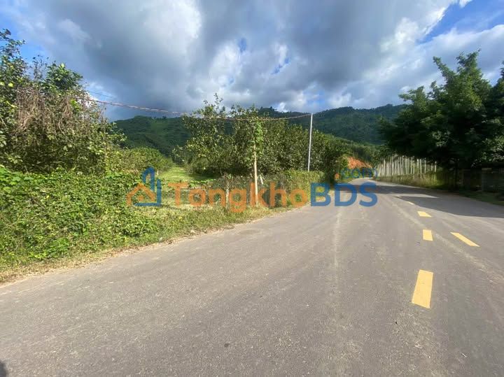 Đất Mặt Tiền Khánh Phú - Yangbay 1000m² Sổ Đỏ Thổ Cư - Đầu Tư Sinh Lời