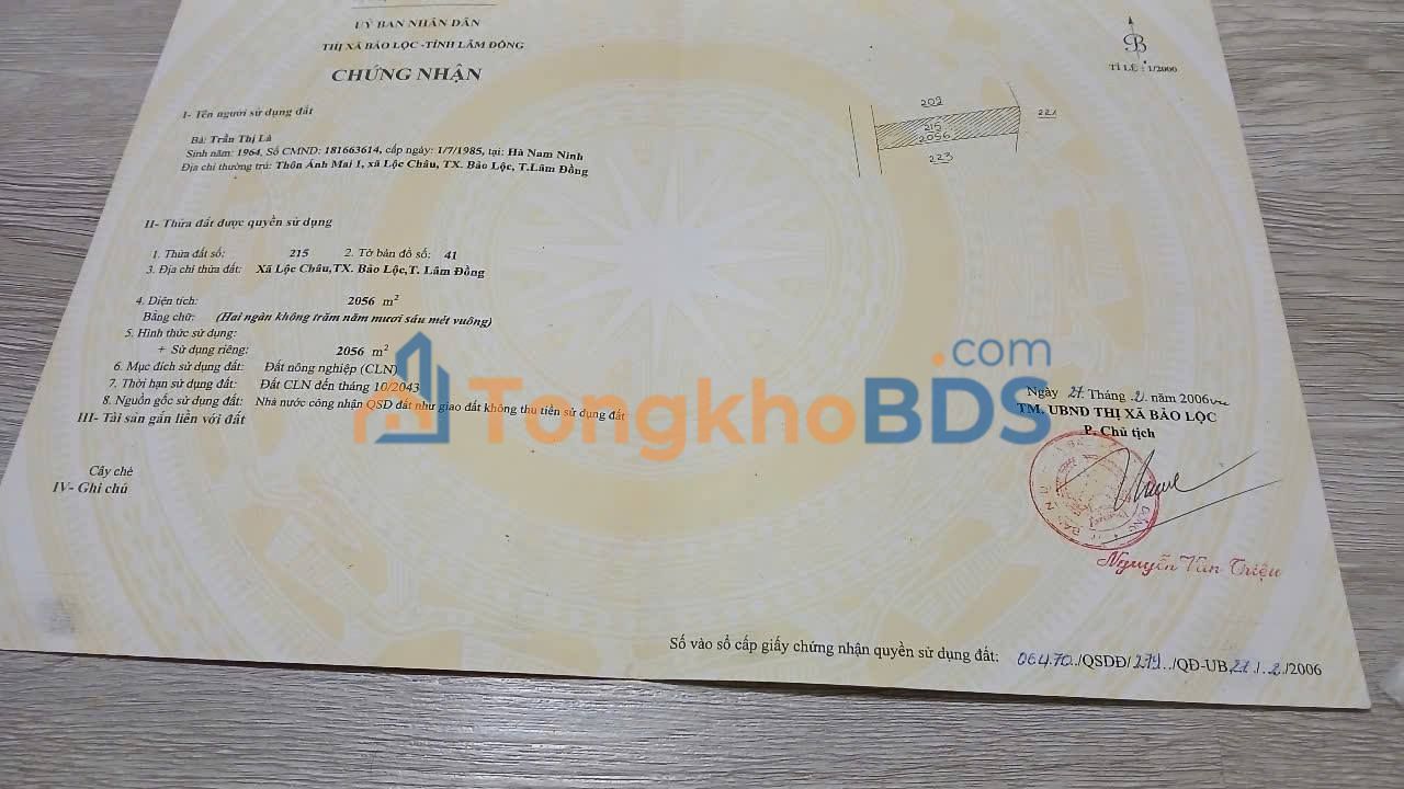 Đất Vườn Lộc Châu, Bảo Lộc: 720m² Mặt Tiền Đinh Công Tráng - Giá Tốt