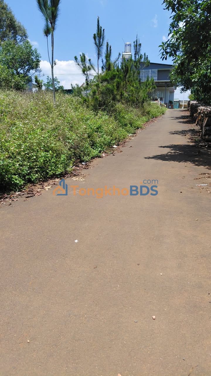 Đất Thổ Cư Lộc Ngãi, Bảo Lâm 125m² - Giá Ngộp 520 Triệu