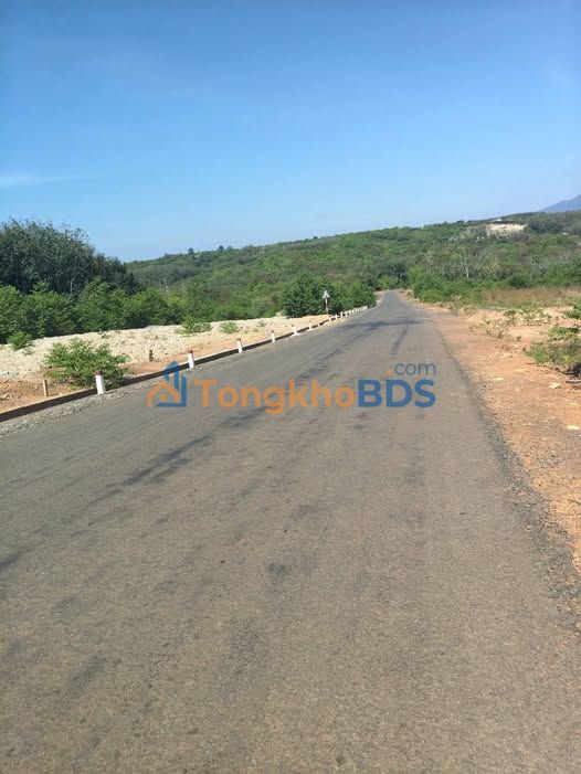 Đất Vườn 4200m² Phú Riềng, Bình Phước - Sổ Đỏ Rõ Ràng, Giá Chỉ 8xx Triệu