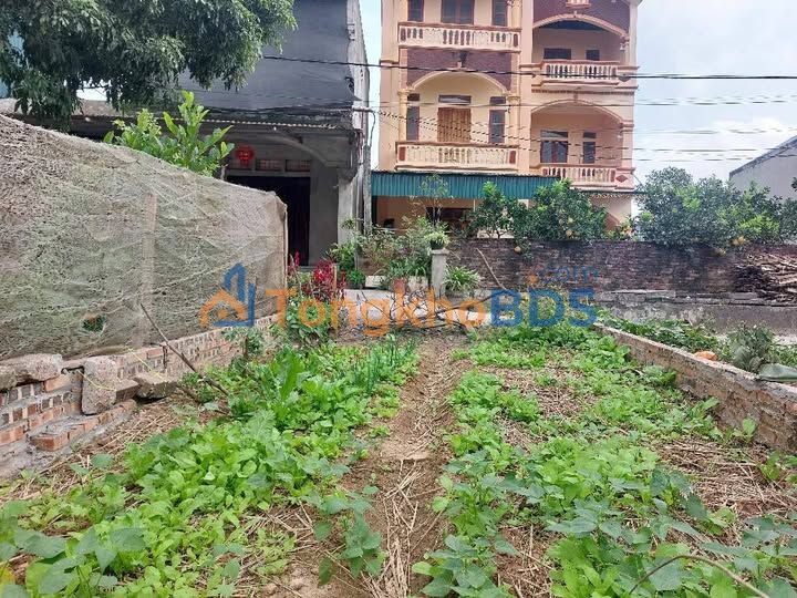 Đất Phụng Châu 61m² Sổ Đỏ - Sát ĐH, Ô Tô Thông Thoáng