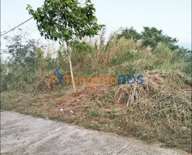 Đất Vườn 450m² Giá 950 Triệu - Chính Chủ, Sổ Riêng, Gần Ngã Ba Bà Mù