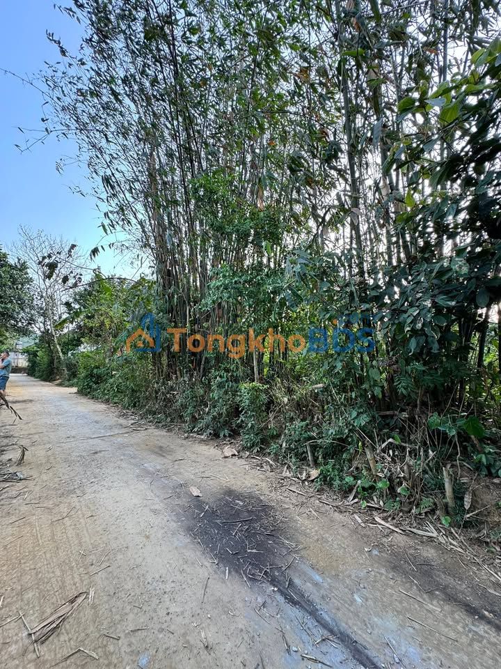 Đất Vĩnh Phúc 1000m² ONT Giá 1 Tỷ - Sổ Đỏ Rõ Ràng