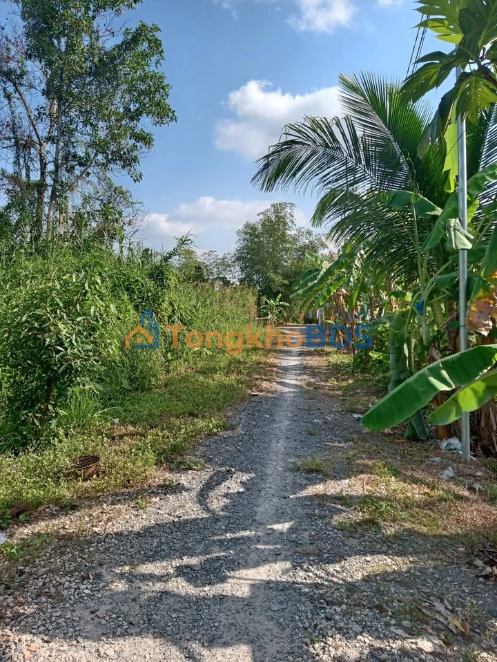 Nhà Cấp 4 Đường 30/4 Cần Thơ 100m² Sổ Hồng Sang Tên Ngay