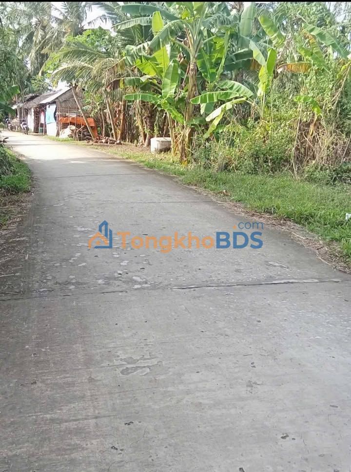 Bán Đất Vườn Sóc Trăng 12.330m² Mặt Tiền Ô Tô - Giá 2.15 Tỷ