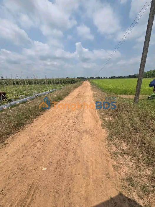 Cần thêm tiện ích cụ thể để hoàn thiện